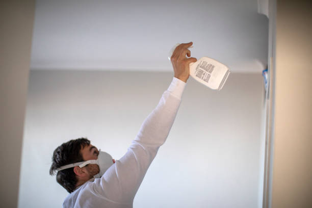 Office Mold Removal Services in Williston, SC