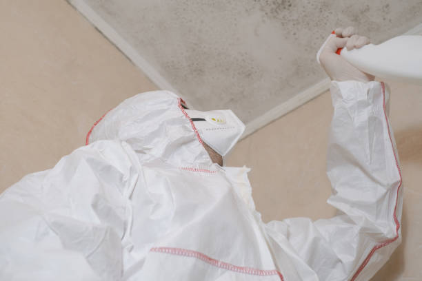 Best Toxic Mold Removal  in Williston, SC