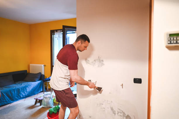 Best Mold Cleaning Services  in Williston, SC